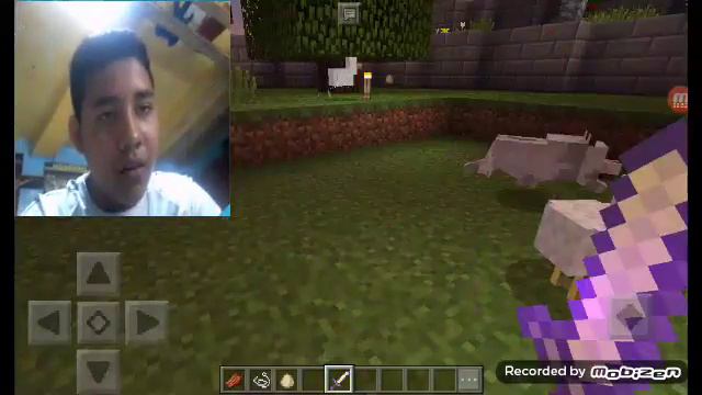 La casa mas chida minecraft jose luis rodriguez bernal смотреть онлайн