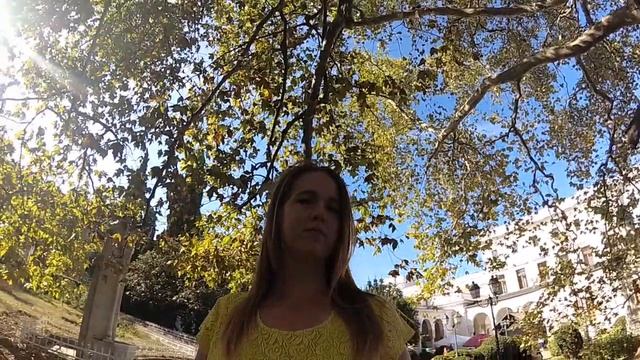 Крым 2019 - КРАСИВЫЕ ДЕРЕВЬЯ смотреть онлайн