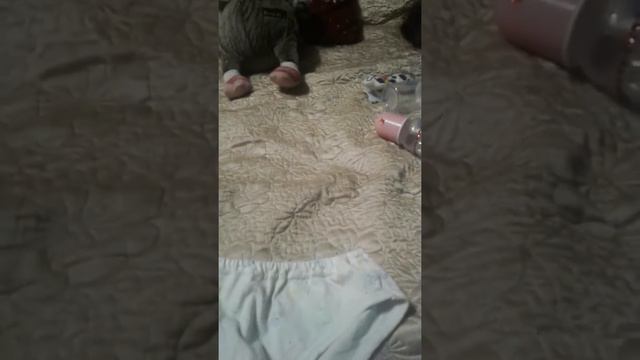 Что нужно в первые дни для басика 1часть смотреть онлайн