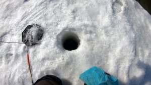 Безмотылка. Чёртик и Ведьма магия безмотылки.