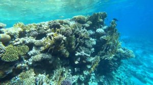 SIERRA SHARM EL SHEIKH 5* ОБЗОР ПЛЯЖА Сиерра ШАРМ ЭЛЬ ШЕЙХ ЕГИПЕТ 2019