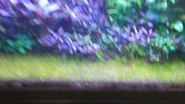 Дизайн и Стройка