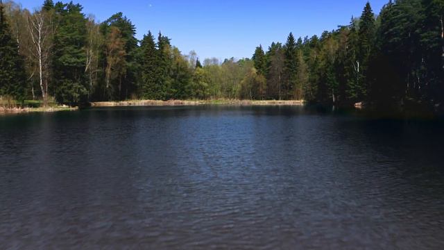 Коттеджный посёлок Green Forest Club