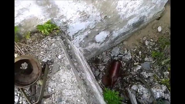 Сибирские леса, тайга, одиночный поход, заброшенные военные строения, развалины. часть1 смотреть онлайн