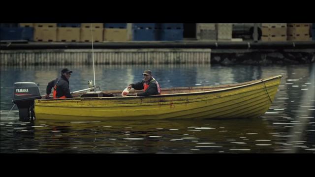 Гренландия 2020. Путешествие для смелых и любознательных смотреть онлайн