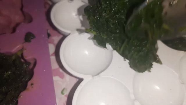 Зелень на зиму Чтобы НЕ ТРАТИТЬСЯ зимой НА ЗЕЛЕНЬ! Мой проверенный способ! смотреть онлайн