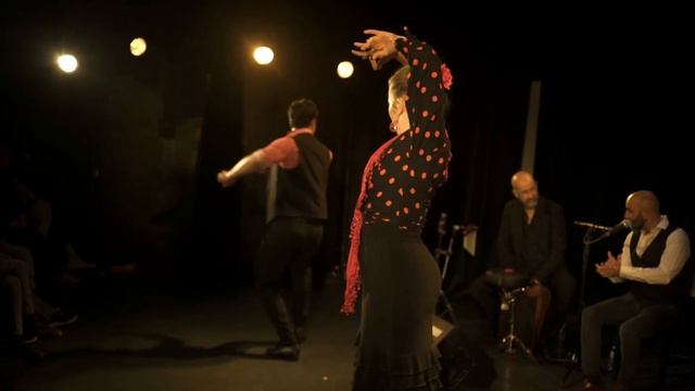TEASER 1 / Spectacle AIRE FLAMENCO / flamenco-a-paris.com смотреть онлайн