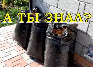 ОПАВШИЕ ЛИСТЬЯ.. Убирать или нет? 5 способов как утилизировать опад???