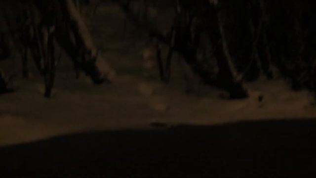 Чьи-то следы из леска к оврагу с водой Someone`s footprints from the forest to a ravine with water смотреть онлайн