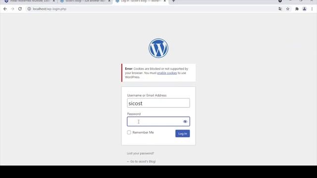 Bitnami Wordpress Multisite initial Installation and Configuration смотреть онлайн