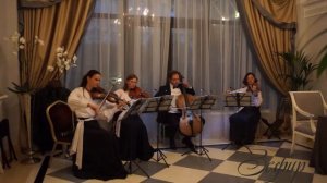 Eine kleine nachtmusik, 1 mov. - W.A.Mozart