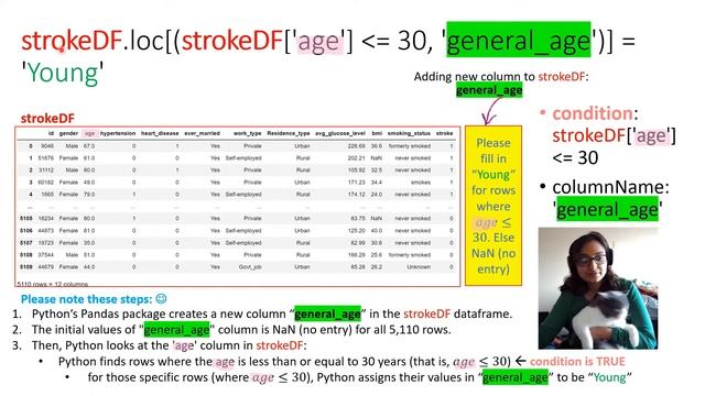 Discretize Python Pandas Dataframe Columns into Groups (Feature Engineering/Conditional Columns) смотреть онлайн