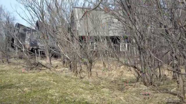 Не жалею, не зову, не плачу Песня на стихи Есенина смотреть онлайн