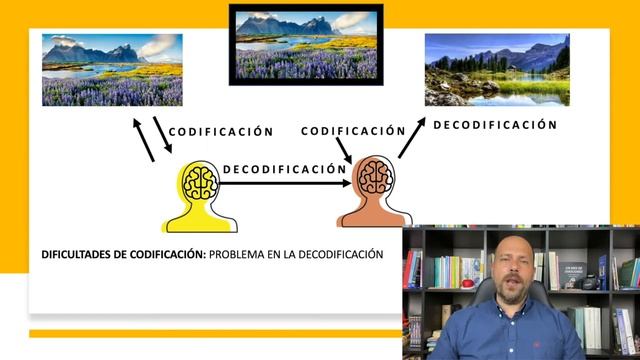 ?¿Cómo Funciona la MEMORIA? Tareas de CODIFICACIÓN смотреть онлайн