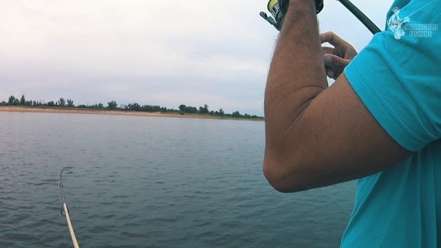 Жёны отпустили нас с пикника на рыбалку на час! И вот что мы поймали... смотреть онлайн