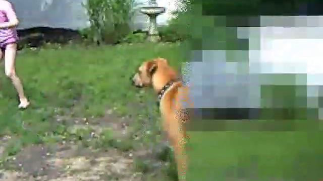 Lps Beach 6 0001 смотреть онлайн