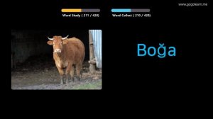 Выучить турецкий через картинки |турецкий словарь средняя школа3 | Golearn