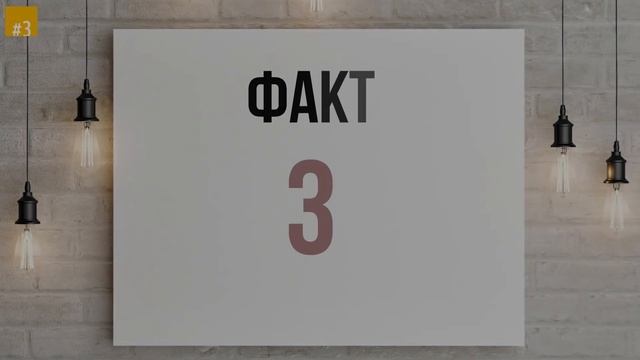 Каждая Фотография Чарльза и Дианы Скрывала Одну и ту же Ложь смотреть онлайн