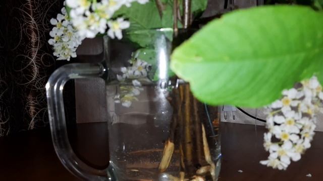 Натуральный ароматизатор в дом черемуха смотреть онлайн