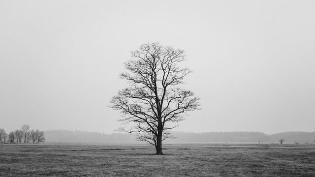 solo y paz | me siento solo hoy, escucha musica conmigo смотреть онлайн