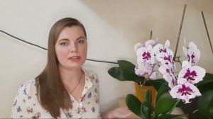 Перестала их...  Как добиться шикарного цветения ОРХИДЕИ. Полная лекция.