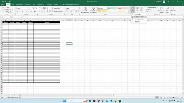 Microsoft Excel Tablo Ayarları Eğitimi смотреть онлайн