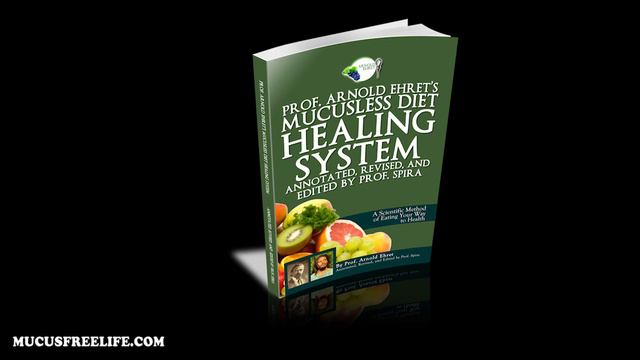 Mucusless Diet Menus: Lesson 15 Audiobook Excerpt смотреть онлайн