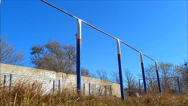 Подтягивания каждый день | День 29 смотреть онлайн