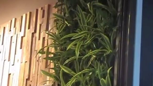 Фитостены Лафасад в озеленении торговых помещений (магазин AVEDA, ТРЦ "Гринвич") смотреть онлайн
