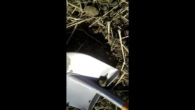 Коп в Крыму. Поднял Серебро!!! смотреть онлайн