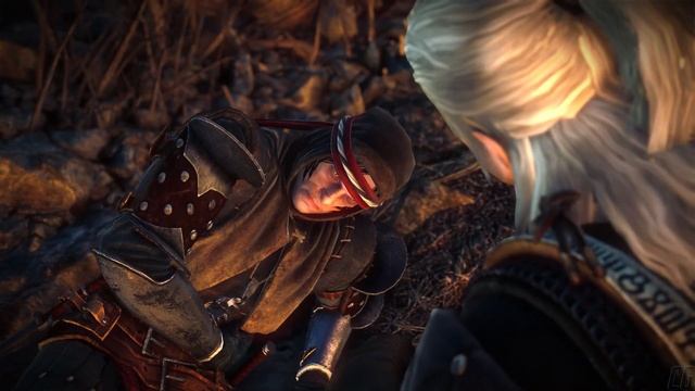 THE WITCHER 2 - Part 9: The Blood Curse, The Assassins of Kings, The Eternal Battle смотреть онлайн