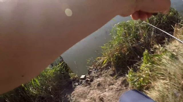 СТАВОК Александровка!!! Супер клёв, как на белых камнях!!!! смотреть онлайн