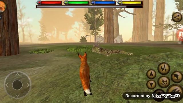 Ищем пару для лиса в ultimate fox simulator. смотреть онлайн