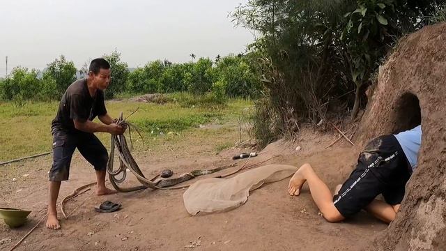 3 Brave Hunters With Pitbull Dog Confront Giant Python And 100 Snakes To Save A Young Man смотреть онлайн