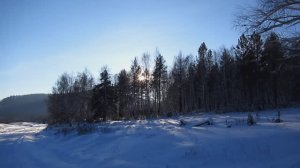 Зазвенели колокольчики. Песня. Клип. (муз. Борис Бровченко., слова - неизв.). Семья Бровченко.