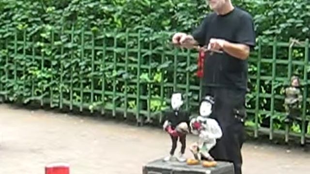 Летний сад как декорация смотреть онлайн