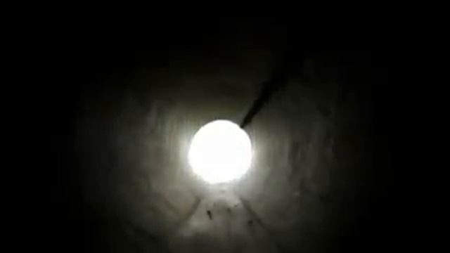 "Поющее дерево", Англия смотреть онлайн