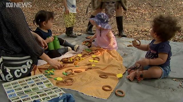 Forest schools: A growing alternative for parents wanting less screen time for kids | ABC News смотреть онлайн