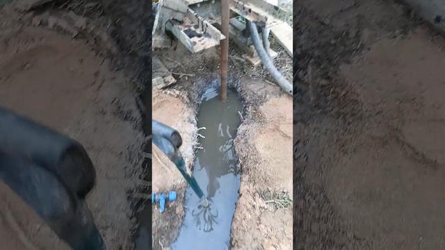 VID 20231002 142907 328 смотреть онлайн