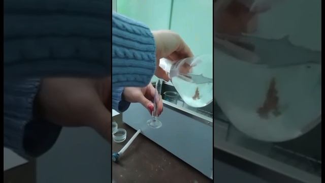 Испытания устойчивости окраски к 