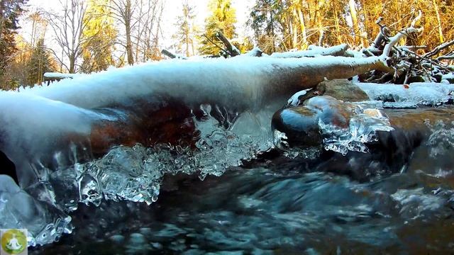 Удивительная музыка Рейки. Reiki Music. Звуки природы, пение птиц, Шум реки для релаксации и отдых смотреть онлайн