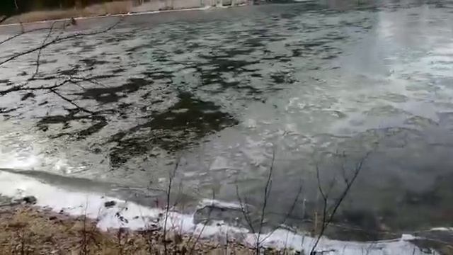 Палатка Фэмели Т смотреть онлайн