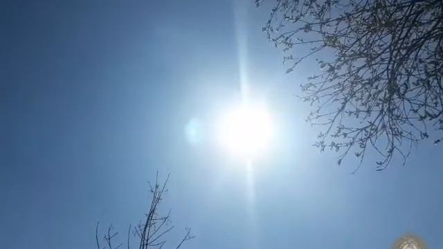 Начальная МЕДИТАЦИЯ на ВХОЖДЕНИЕ в ХРОНИКИ АКАШИ. Линда Хау. смотреть онлайн