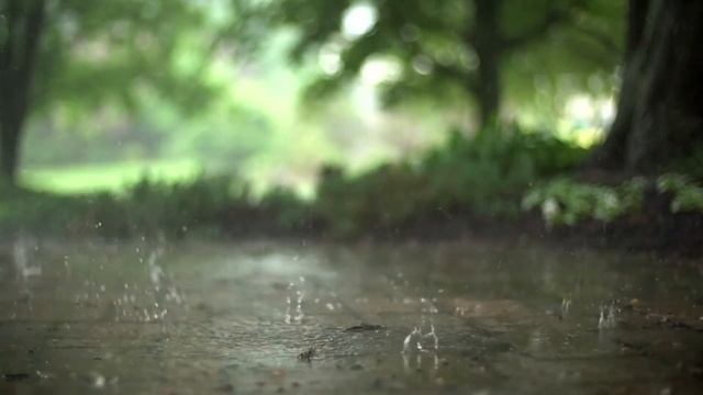 [Try Listening For 2 Minutes] Relaxing Music & Soft Rain смотреть онлайн