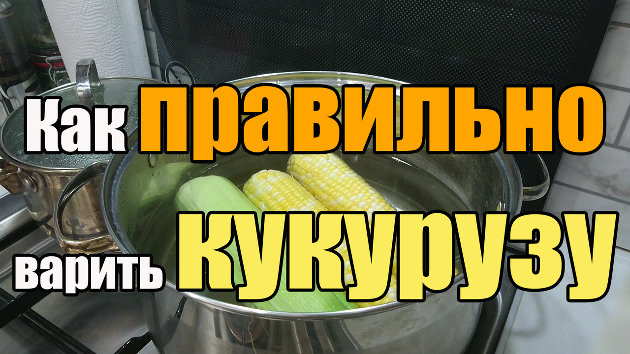 Как правильно варить кукурузу
