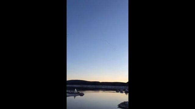 Охота и рыбалка в Якутии, г. Ленск, р. Конёк смотреть онлайн