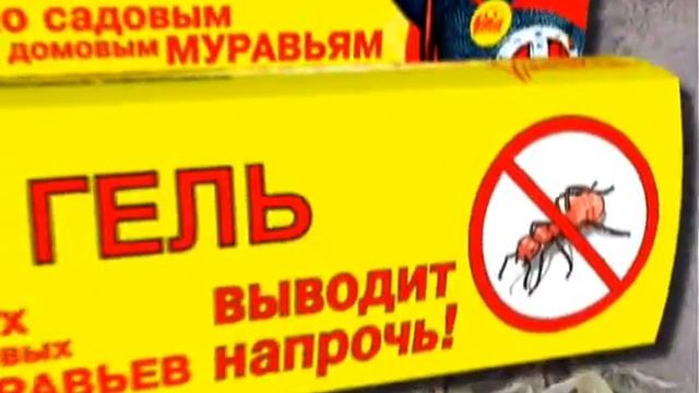 От садовых муравьев избавиться сложно! смотреть онлайн