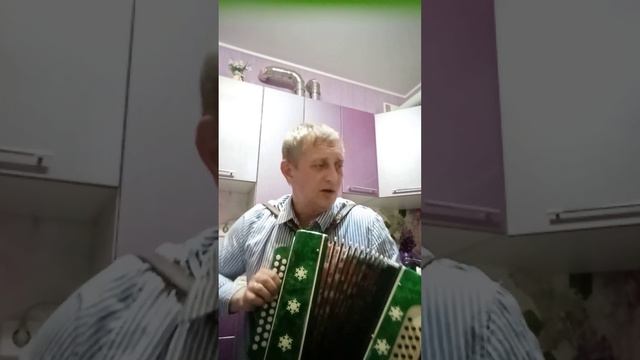 А. Розенбаум Гоп стоп на гармони, исполняет Геннадий Шмелëв смотреть онлайн