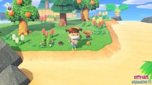 Как быстро добыть железо в игре Animal Crossing New Horizons #3