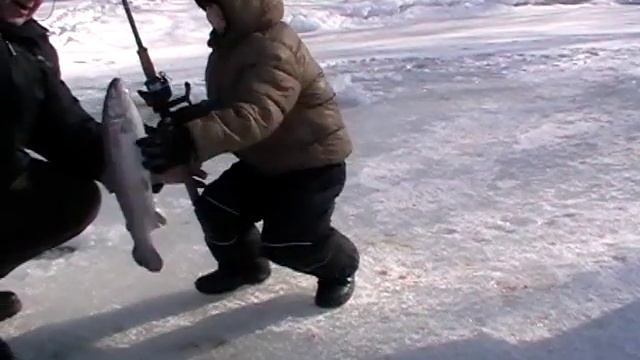 Мастер-класс по ловле форели со льда! смотреть онлайн